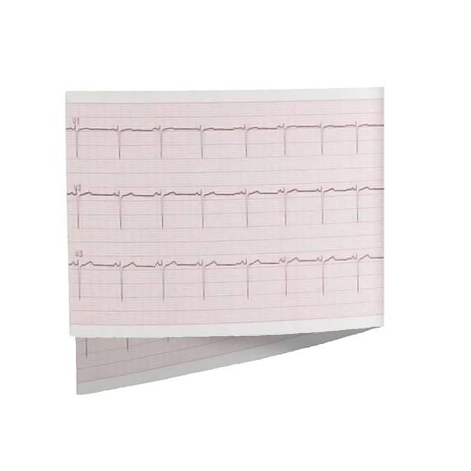 seca CardioPad-2 ECG Paper | Pack of 5