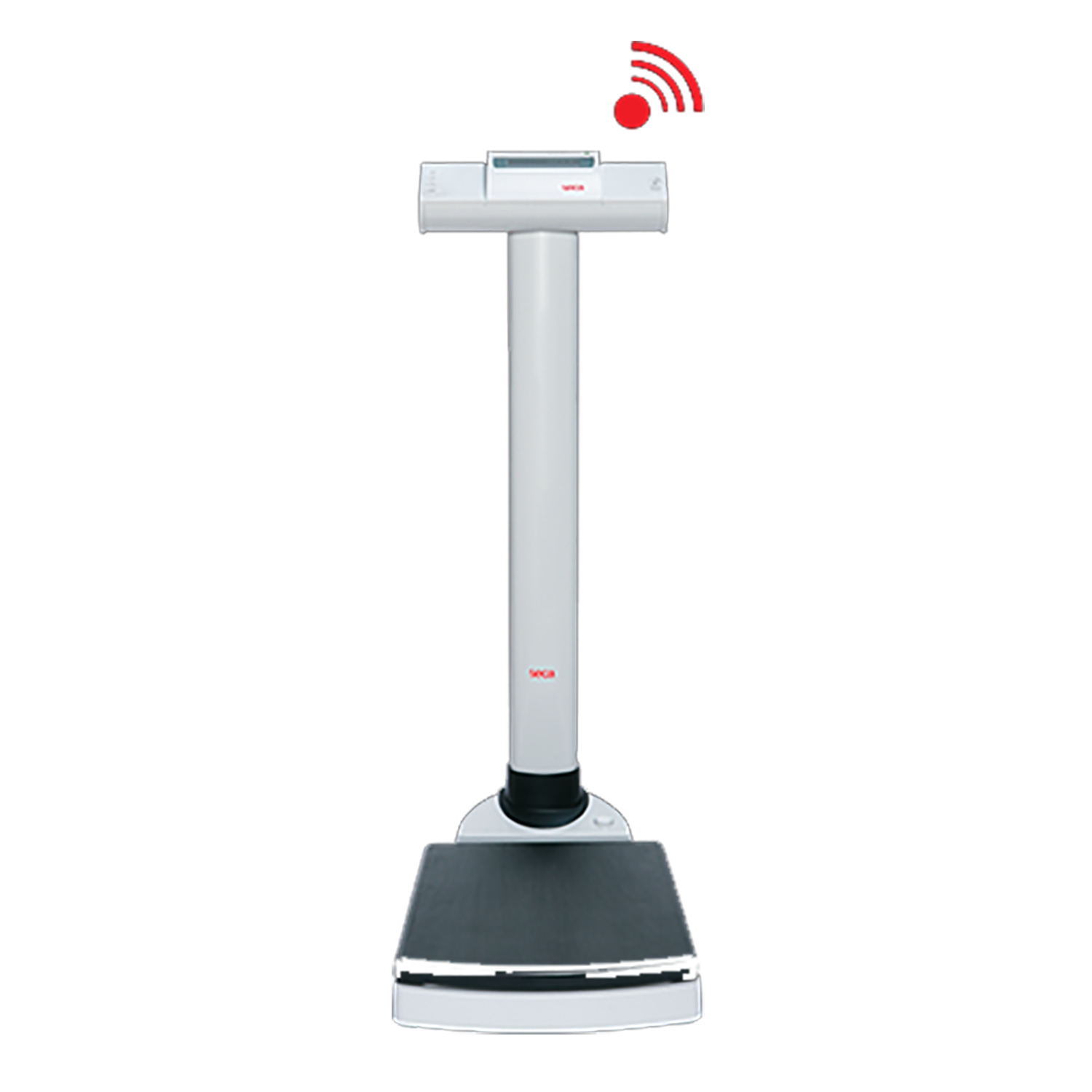 seca 704s Class III High Capacity Digital Column Scale with integrated measuring rod