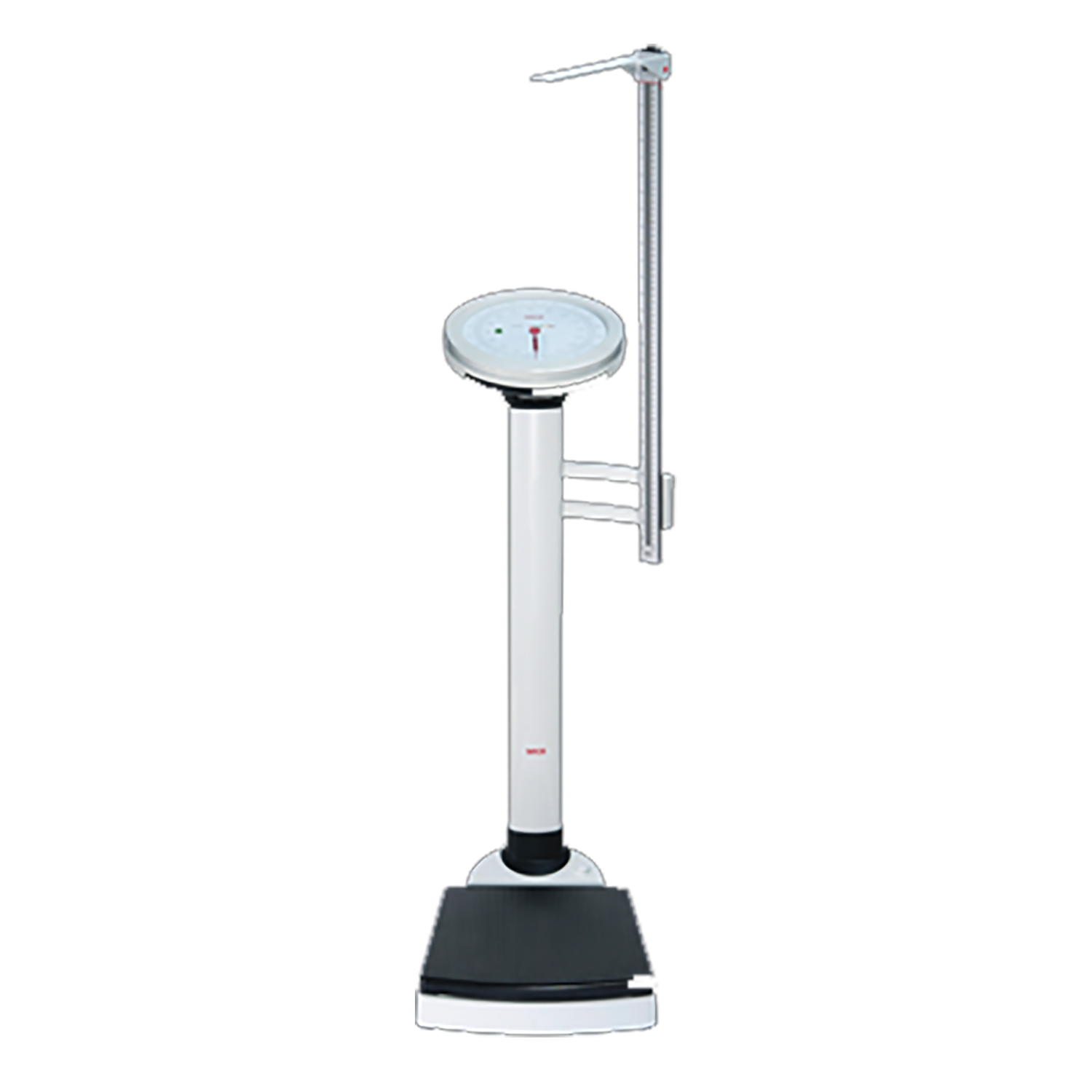 seca 756 Class IIII Mechanical Column Scale with BMI display and evaluation (1)