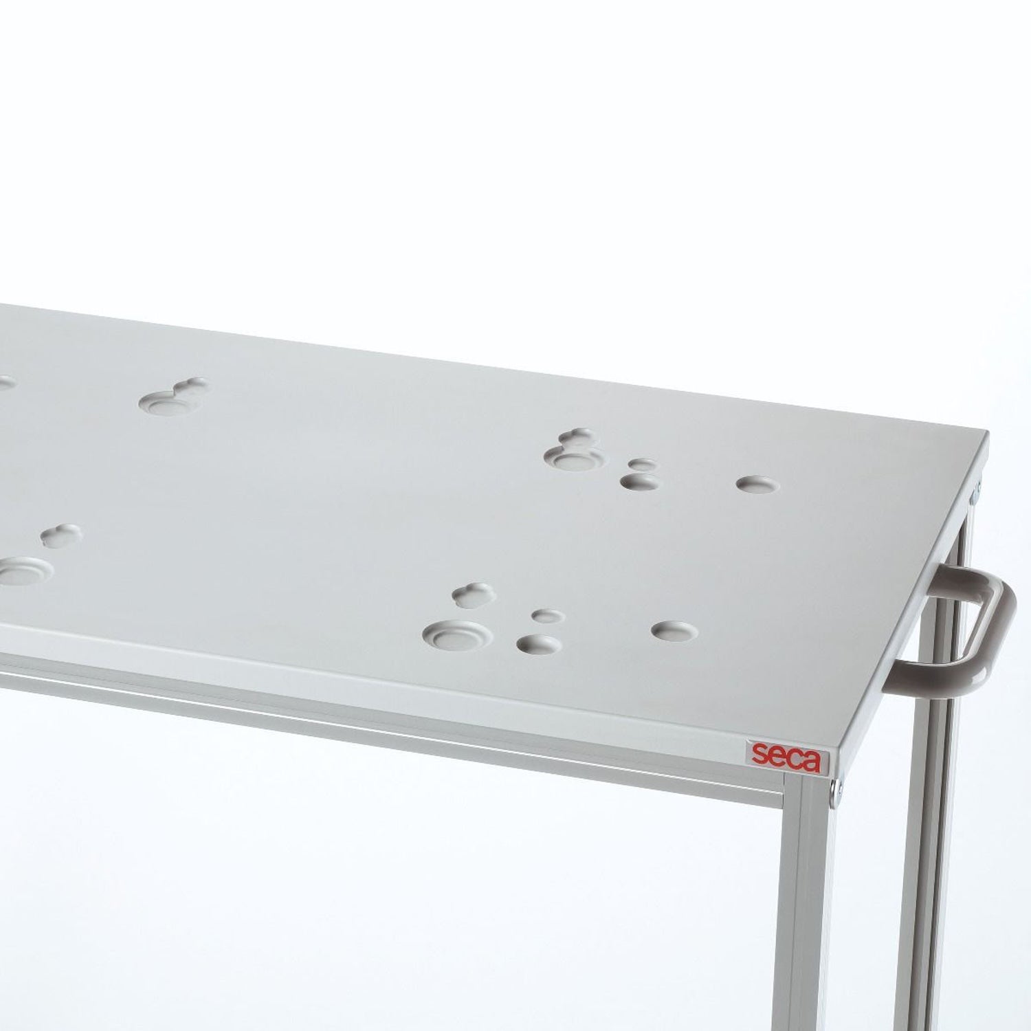 seca 402 Mobile Table (1)