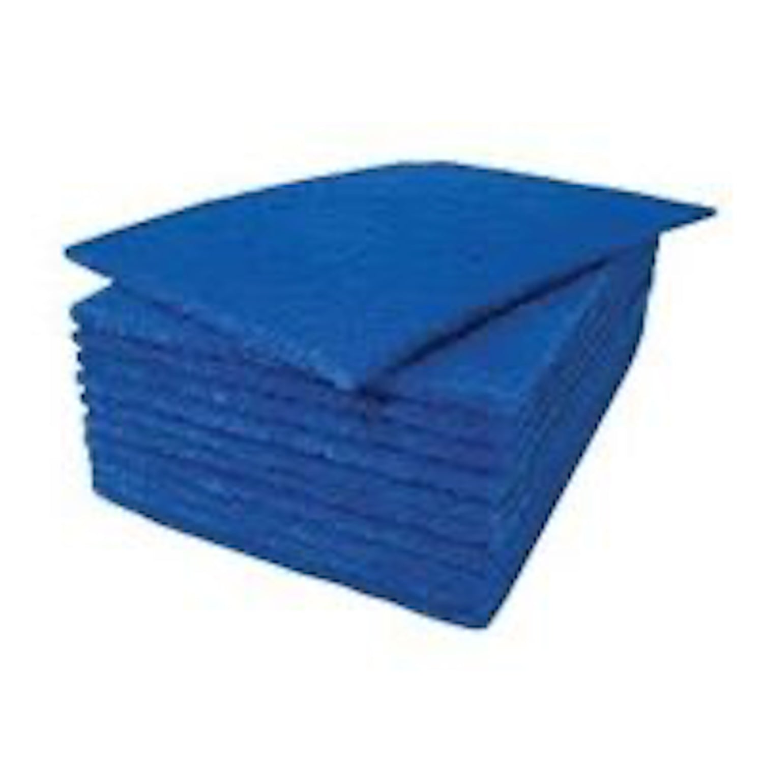 Blue Scouring Pad | Pack of 10 (1)