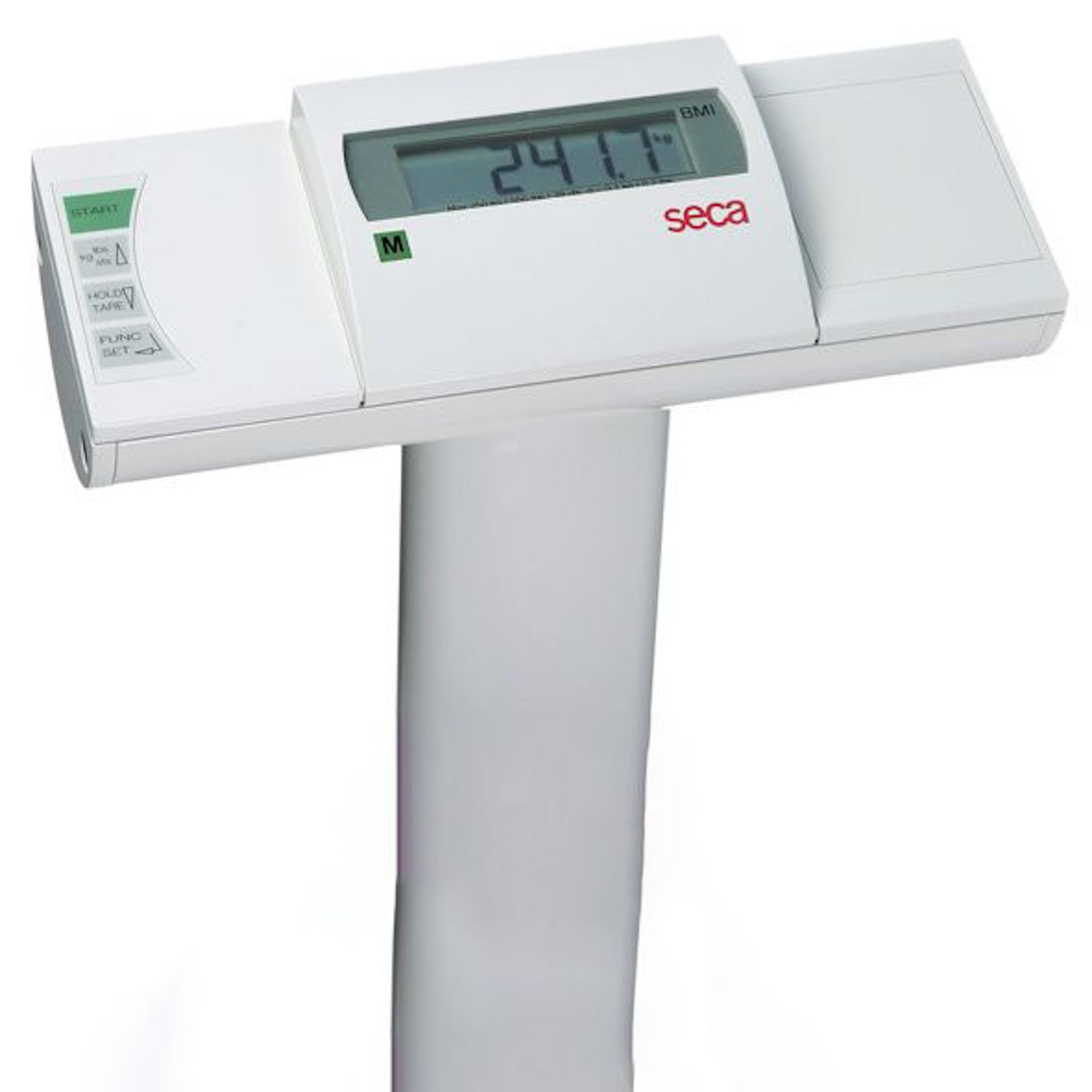 seca 704 Wireless Class III Column Scale (1)